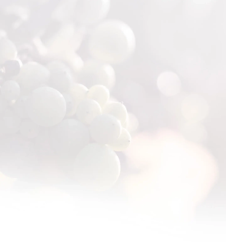 Marsannay Champs Perdrix